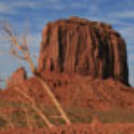 Thambiyannan Briyani Hotel Restaurant